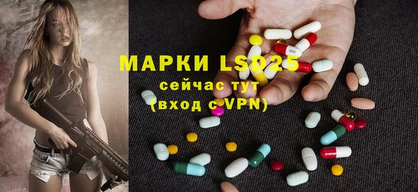 винт Липки