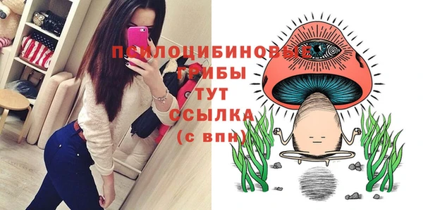 винт Липки