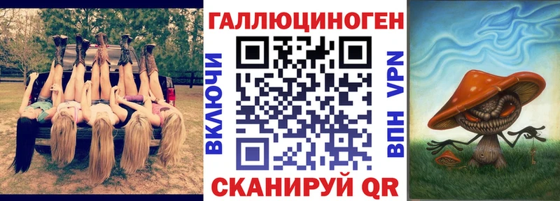 Галлюциногенные грибы Psilocybe  где можно купить   Чухлома 